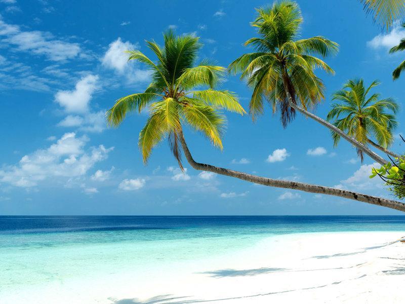 Mercure Maldives Kooddoo Adults-Only Resort - 35 Percent Off Return Domestic Transfers For Two Adults Until September Viligili Ngoại thất bức ảnh